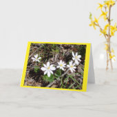 Bloodroot IIノートカ空白のード カード (黄色い花)