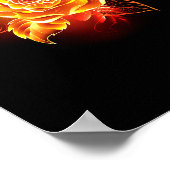 Blooming Fire Rose ポスター (角)
