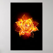 Blooming Fire Rose ポスター (正面)