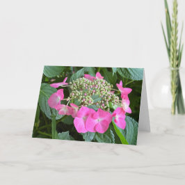 Blooming Hydrangea Blank Note Card サンキューカード