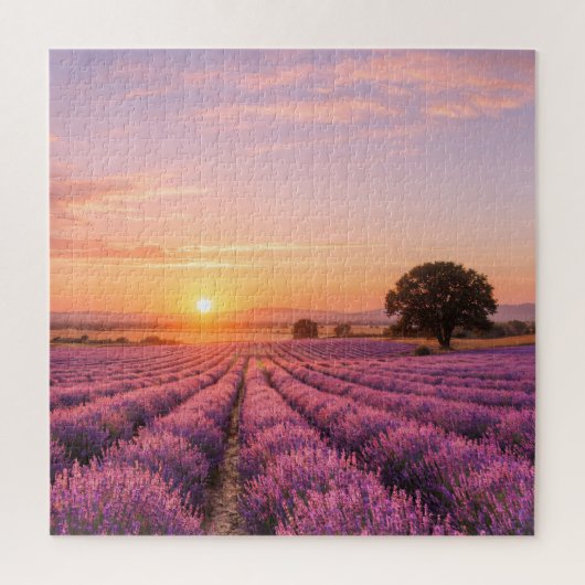 Blooming Lavender Field at Golden Sunset Provence ジグソーパズル (縦)