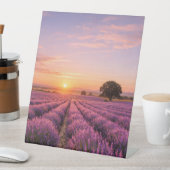 Blooming Lavender Field at Golden Sunset Provence 台座サイン (インサイチュ)