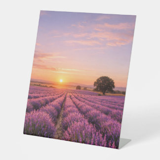 Blooming Lavender Field at Golden Sunset Provence 台座サイン
