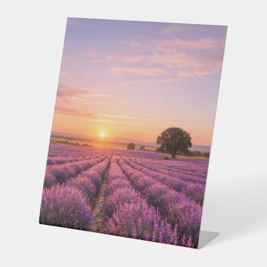 Blooming Lavender Field at Golden Sunset Provence 台座サイン (正面)
