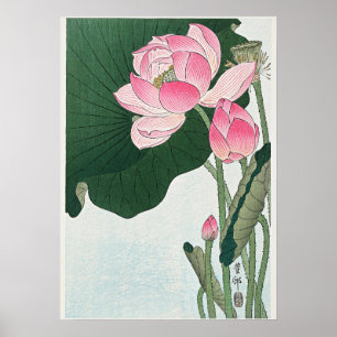 Blooming Lotus Flowers by Ohara Koson ポスター