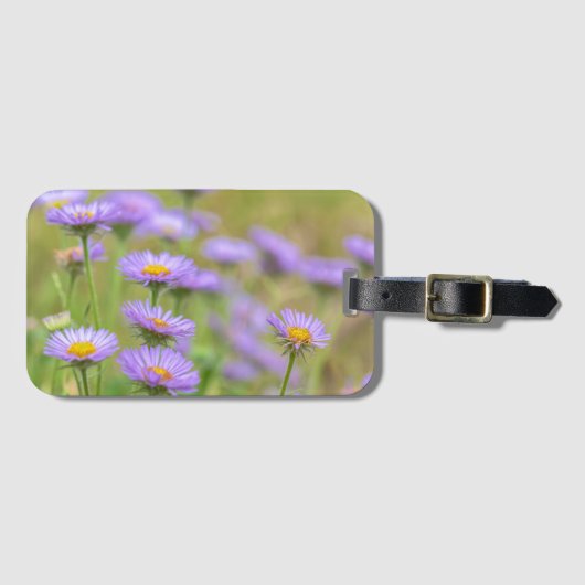 Blooming Seaside Daisies ラゲッジタグ (正面横)