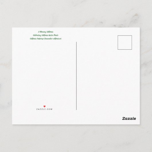 Bloomings from California: Buttercup ポストカード (裏面)