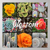 BlossomスクリプトモダンCactiバラパターン写真 ポスター (正面)
