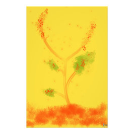 BLOSSOM フォトプリント           