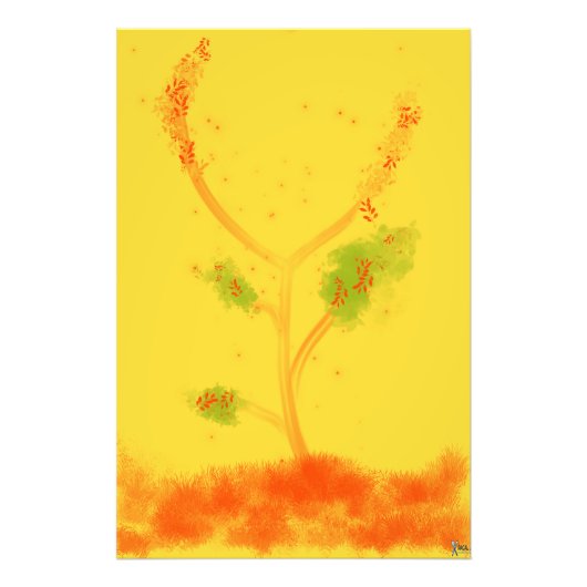 BLOSSOM フォトプリント            (正面)