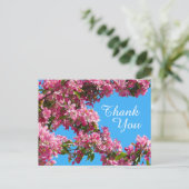 Blossom and Blue Sky Thank You ポストカード (スタンド正面)