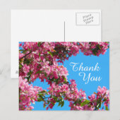 Blossom and Blue Sky Thank You ポストカード (正面/裏面)