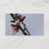 Blossom Branch名刺 名刺 (裏面)