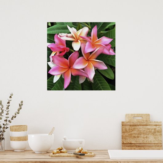 Blossom Wreath Of Pale Pink Frangipani ポスター (キッチン)