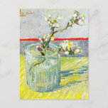 Blossoming Almond Branch by Vincent van Gogh ポストカード<br><div class="desc">Blossoming Almond Branch in a Glass by Vincent van Gogh is a vintage fine art post impressionism still life floral painting featuring blooming spring almond tree branches in a glass vase. About the artist: Vincent Willem van Gogh (1853 -1890) was one of the most famous Post Impressionist painters of his...</div>