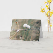 blowballs カード (黄色い花)