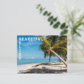 Blowing Bird Caye – ベリーズ ポストカード (スタンド正面)