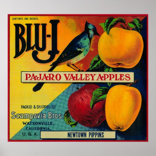 Blu-J Apple Crate LabelWatsonville、カリフォルニア州 ポスター (正面)
