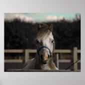 Blue ポスター (正面)