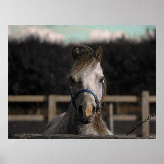 Blue ポスター (正面)