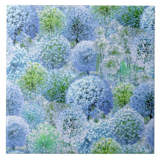 Blue Alliums タイル (正面)