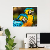 Blue and Gold Macaw Tropical Parrots Print Art ポスター (ホームオフィス)