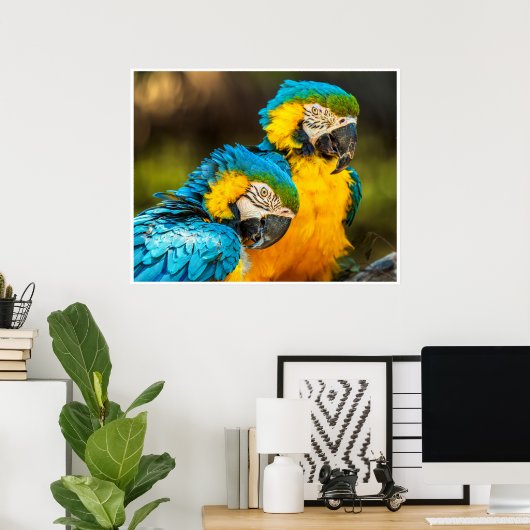 Blue and Gold Macaw Tropical Parrots Print Art ポスター (ホームオフィス)
