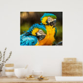 Blue and Gold Macaw Tropical Parrots Print Art ポスター (キッチン)