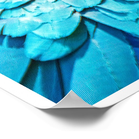 Blue and Gold Macaw Tropical Parrots Print Art ポスター (角)