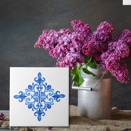 Blue and White Azulejo Kitchen Portuguese Spanish タイル