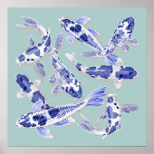 Blue and white koi ポスター (正面)