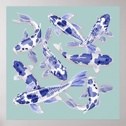Blue and white koi ポスター (正面)