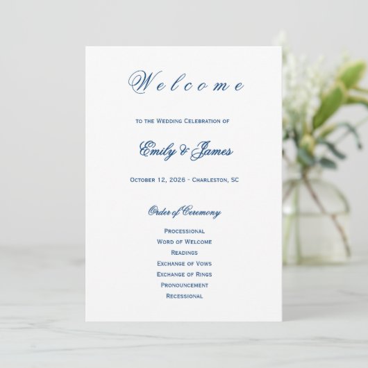 Blue and White Wedding  プログラム (スタンド正面)