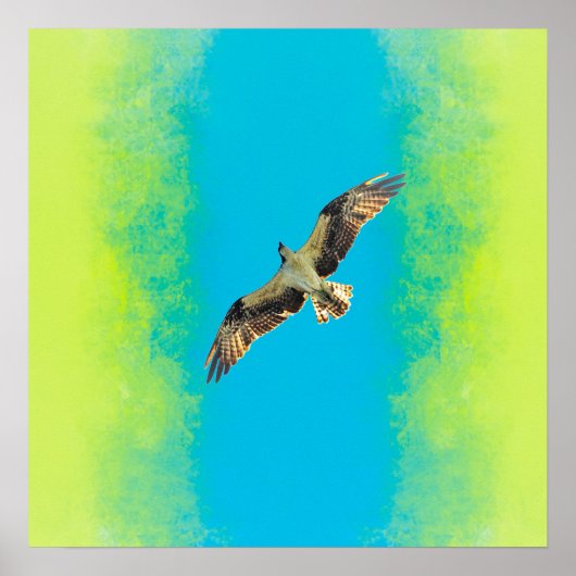 Blue and yellow ポスター (正面)