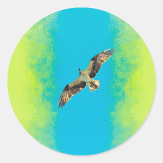 Blue and yellow ラウンドシール