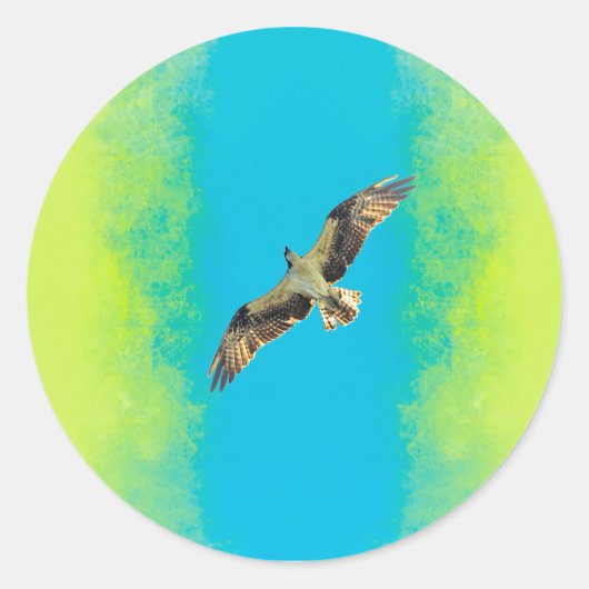 Blue and yellow ラウンドシール (正面)