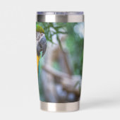 Blue-and-Yellow Macaw 保温保冷タンブラー (背面)