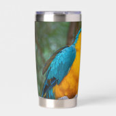 Blue-and-Yellow Macaw 保温保冷タンブラー (正面)