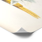 Blue and Yellow Macaw Poster ポスター (角)