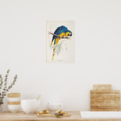 Blue and Yellow Macaw Poster ポスター (キッチン)