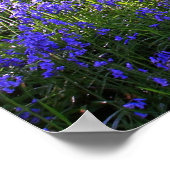 Blue bells forest, Christian poster, psalm 89 ポスター (角)