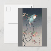 Blue Bird at Night渡辺聖亭 ポストカード (正面/裏面)