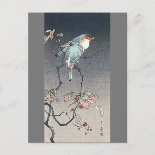 Blue Bird at Night渡辺聖亭 ポストカード (正面)