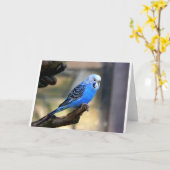 Blue Budgie カード (黄色い花)