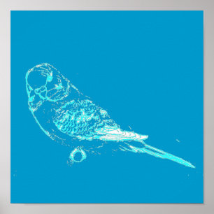 Blue Budgie Poster ポスター