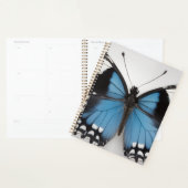 Blue butterfly planner プランナー手帳 (ディスプレー)