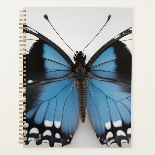 Blue butterfly planner プランナー手帳 (正面)
