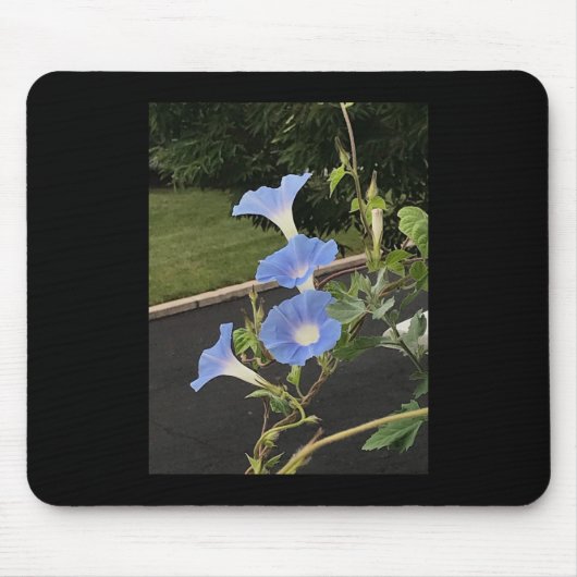 Blue Cascade Morning Glory マウスパッド (正面)