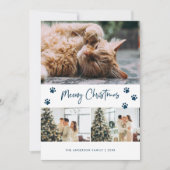 Blue Cat Owner写真Meowyクリスマスカード シーズンカード (正面)