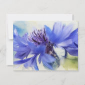 Blue Cornflower Bachelors Button Note Card Set ノートカード (正面)